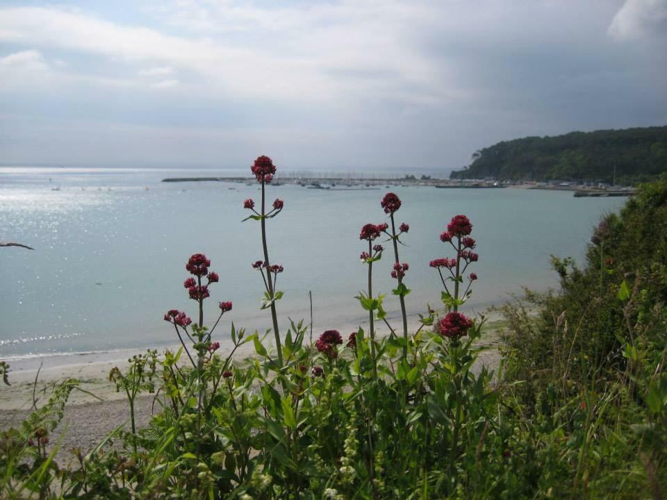 Cap Morgat Chez Jean Leilighet Crozon Eksteriør bilde